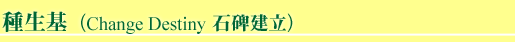 企業運程診断